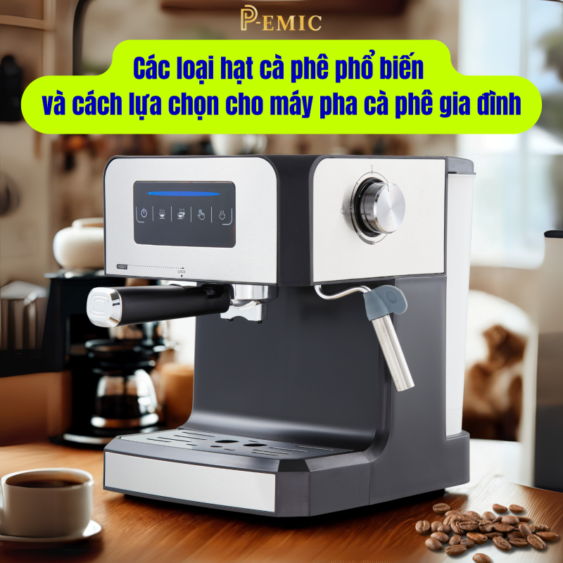 Các loại hạt cà phê phổ biến và cách lựa chọn cho máy pha cà phê gia đình 1 máy pha cà phê