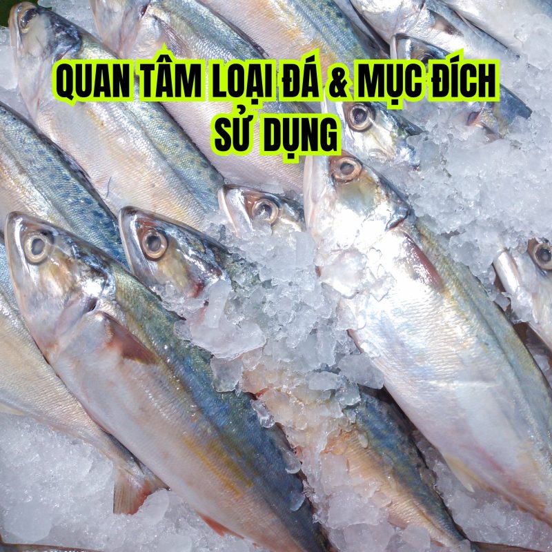 ⭐ Máy làm đá phù hợp nhà hàng – 5 tiêu chí chọn đúng để tránh lãng phí & thiếu đá 3 máy làm đá