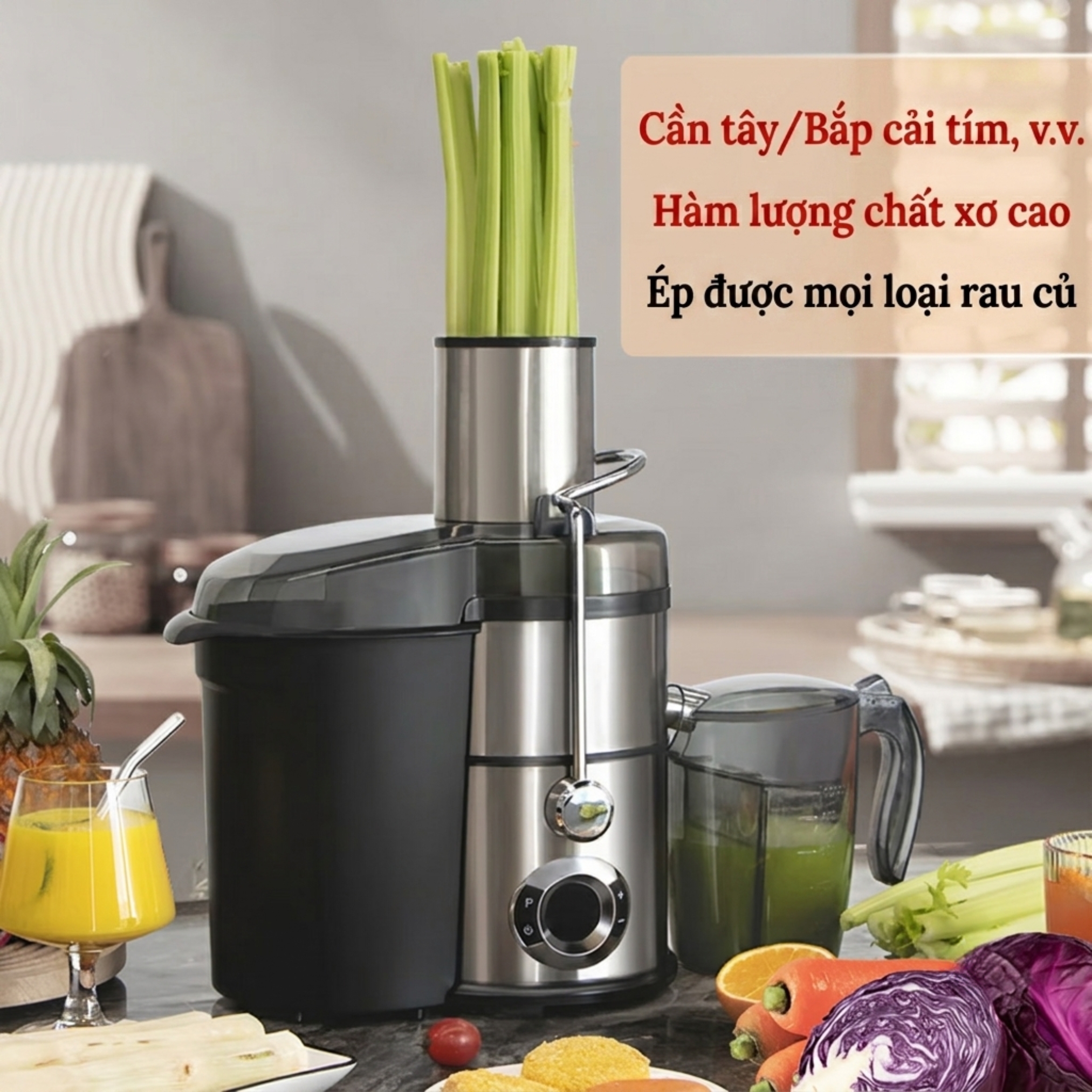 Máy Ép Trái Cây Công Nghiệp T8 2 Máy Ép Trái Cây Công Nghiệp T8 - Ảnh 2