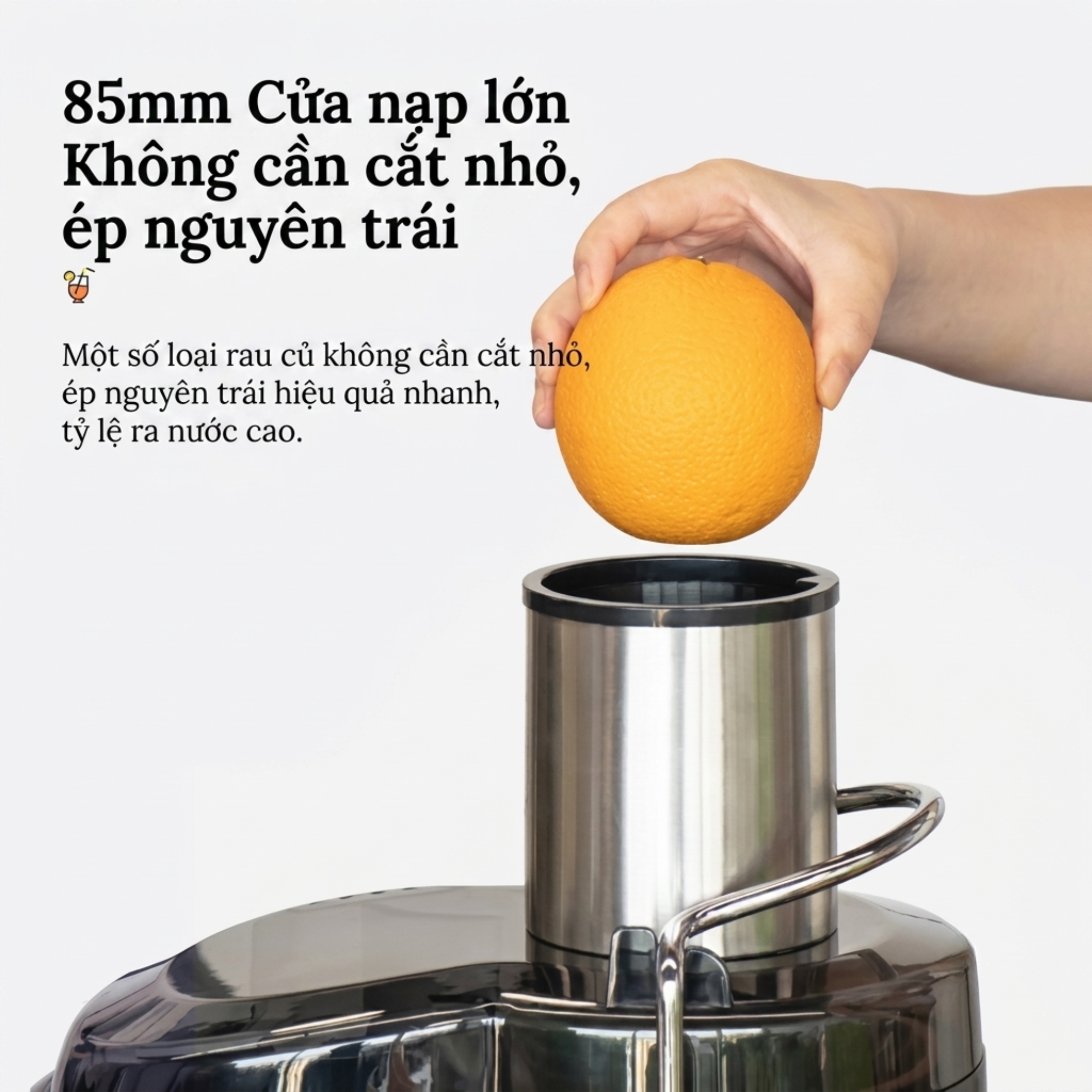 Máy Ép Trái Cây Công Nghiệp T8 5 Máy Ép Trái Cây Công Nghiệp T8 - Ảnh 5