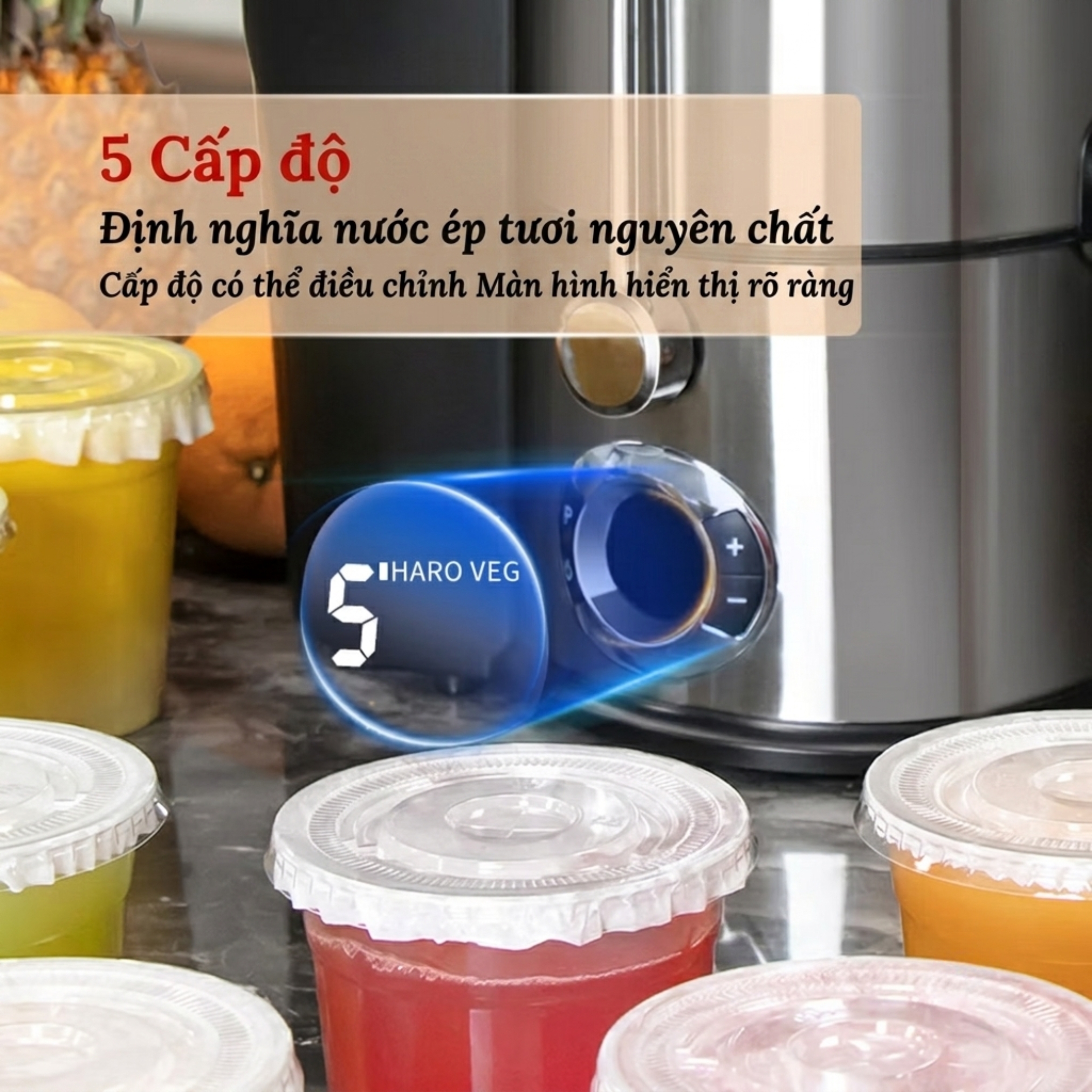 Máy Ép Trái Cây Công Nghiệp T8 3 Máy Ép Trái Cây Công Nghiệp T8 - Ảnh 3